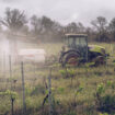 Réduction des pesticides : quatre associations contestent la légalité du plan Ecophyto 2030 devant le Conseil d’Etat