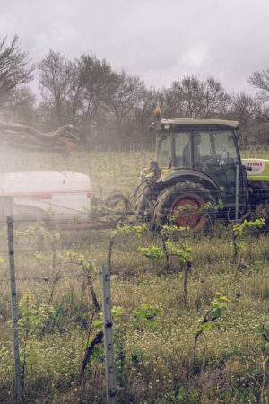 Réduction des pesticides : quatre associations contestent la légalité du plan Ecophyto 2030 devant le Conseil d’Etat