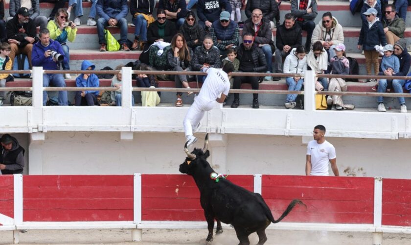 Corrida et mineurs : le Sénat rejette (massivement) l’interdiction pour les moins de 16 ans