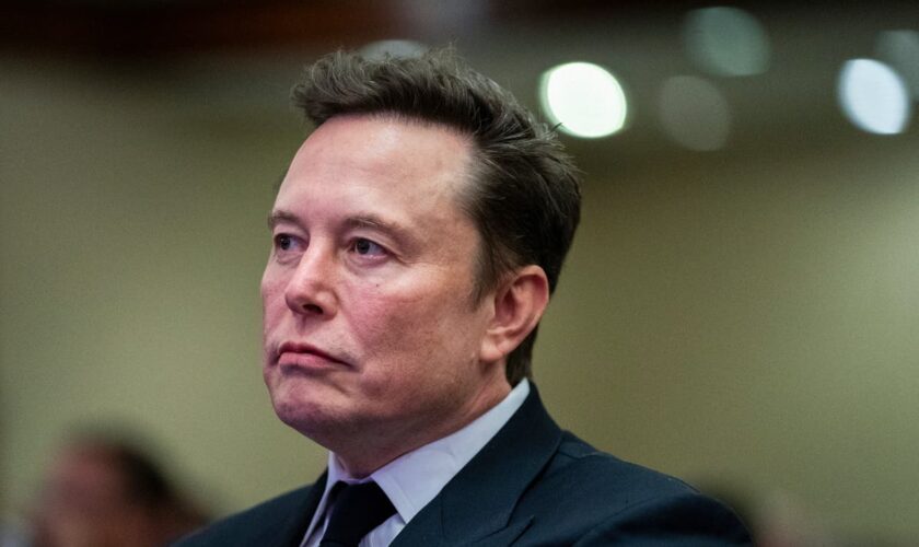 ‘First Buddy’ Elon Musk met with Iran’s U.N ambassador to ‘discuss ways to defuse tensions’ between countries