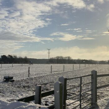 Snow in Suffield, Hackness in Scarborough