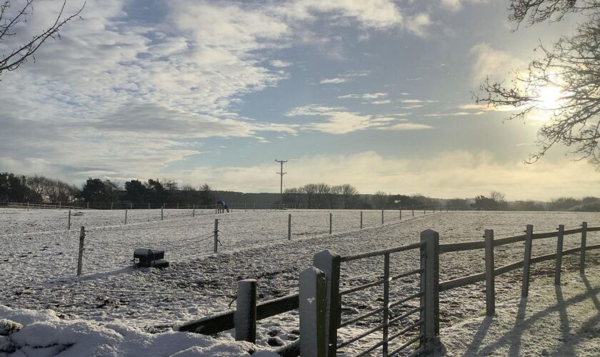 Snow in Suffield, Hackness in Scarborough