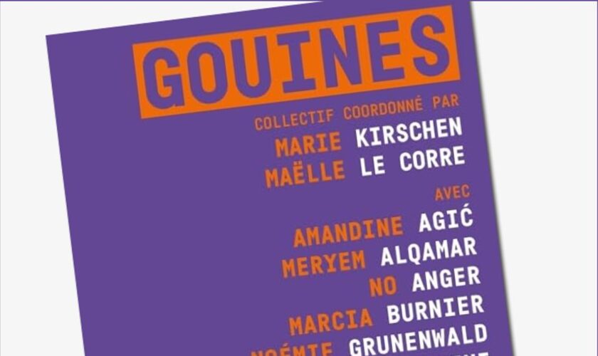 « Gouines nous-mêmes ! » : voyage littéraire dans les contrées lesbiennes