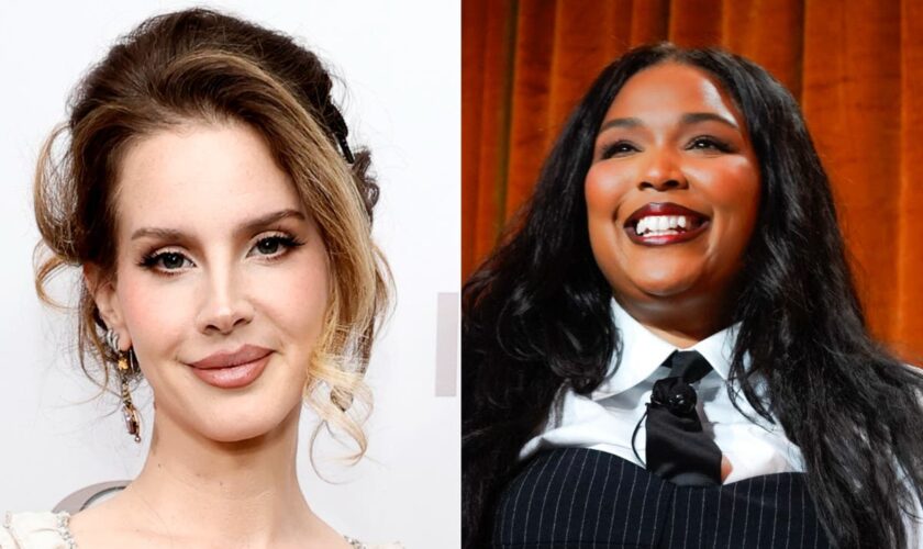 Lana Del Rey responds to fake TikTok comments of her feuding with Lizzo