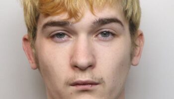 Teenager jailed for shaking baby to death - just weeks after meeting his mum