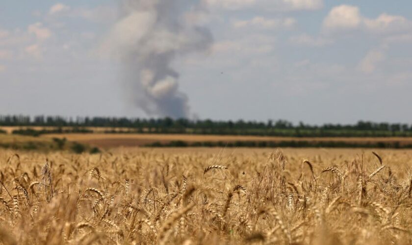 Les images satellite révèlent les répercussions de la guerre sur la production de blé en Ukraine