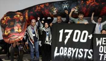 À la COP29, des militants écologistes ont apporté un « serpent géant », voici ce qu’il représente