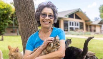 ‘I shared my house with 150 cats – and was told to get rid of them in two weeks’