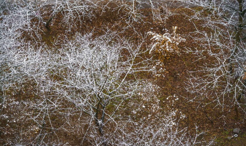 Météo : la neige fait son retour en basse altitude