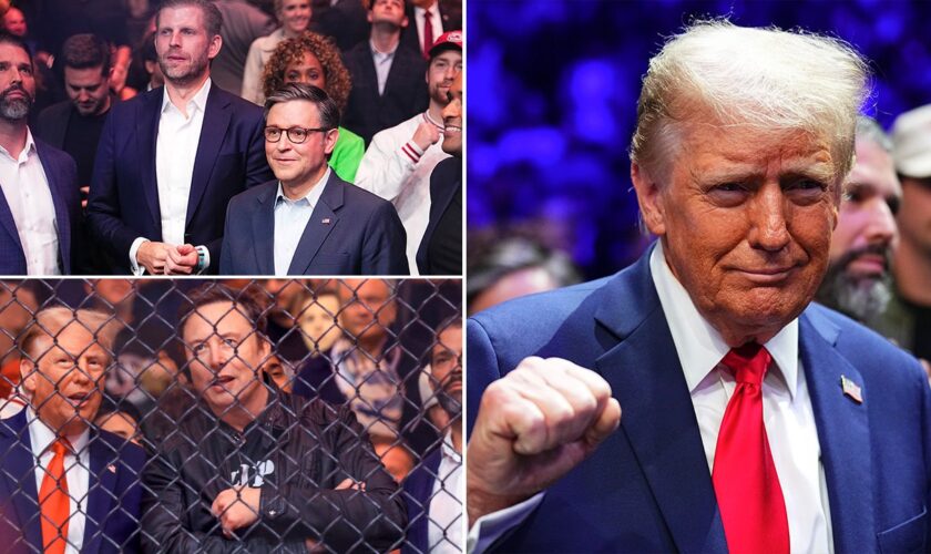 Trump flanked by top allies, cabinet picks at UFC 309: 'USA, USA'