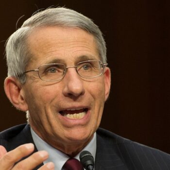 Le Dr Anthony Fauci, directeur de l'Institut national des allergies et des maladies infectieuses (NIAID), à Washington le 16 septembre 2014