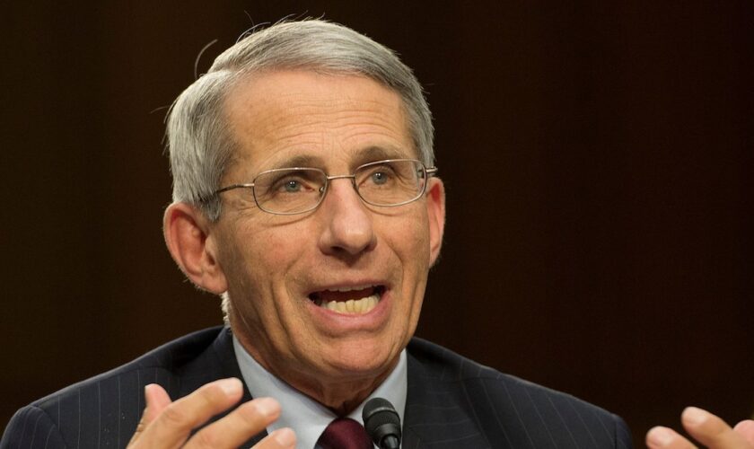 Le Dr Anthony Fauci, directeur de l'Institut national des allergies et des maladies infectieuses (NIAID), à Washington le 16 septembre 2014