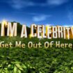 Surprise star signs up to I’m a Celebrity show after ‘tough year’