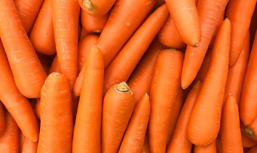 Carrots linked to one death amid E coli outbreak