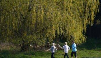 Just an hour of walk in middle-age can add years to life, study says