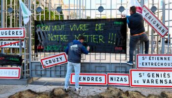 Colère des agriculteurs : “Il flotte en France un air de déjà-vu”