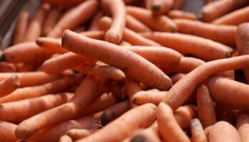 Contaminated carrots recalled after E coli outbreak leaves one dead and dozens fall sick