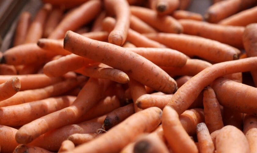 Contaminated carrots recalled after E coli outbreak leaves one dead and dozens fall sick