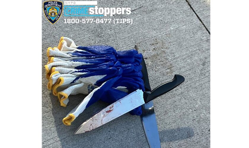 Suspect, 51, in fatal stabbing attacks around New York City had 8 prior arrests including one last month