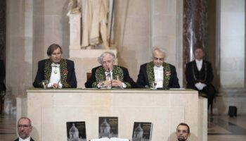 « Contrairement à ce que pense l’Académie, un anglicisme est un mot français »