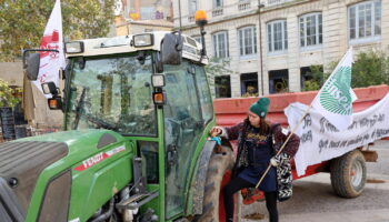 Grèves de novembre 2024 : agriculteurs, SNCF, professeurs... Les premiers blocages et les dates à connaître