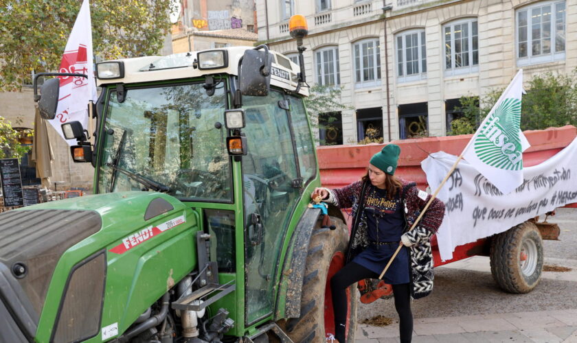 Grèves de novembre 2024 : agriculteurs, SNCF, professeurs... Les premiers blocages et les dates à connaître