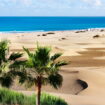 C'est le Sahara en bord de mer, cette plage unique est à visiter toute l'année - il y fait 25 degrés en plein hiver !