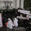 Dégradations devant la préfecture d'Agen lors du mouvement de protestation des agriculteurs le 19 novembre 2024