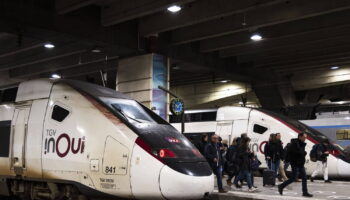 Grève SNCF du 21 novembre : TGV, TER, RER, Transilien, les perturbations ligne par ligne