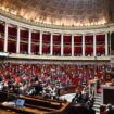 Le bureau de l’Assemblée acte la création d’un groupe d’amitié France-Palestine