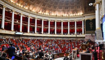 Le bureau de l’Assemblée acte la création d’un groupe d’amitié France-Palestine