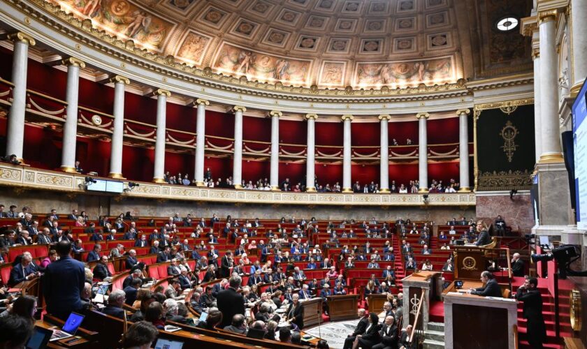 Le bureau de l’Assemblée acte la création d’un groupe d’amitié France-Palestine