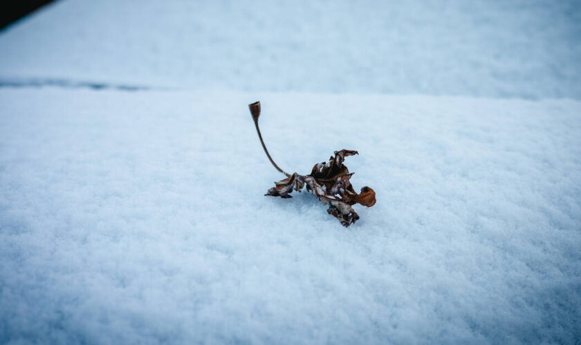 Neige, verglas et vent : 54 départements en vigilance orange ce jeudi à travers toute la France