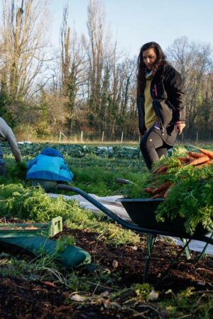 La sécurité sociale de l’Alimentation, une réponse à la crise agricole ?