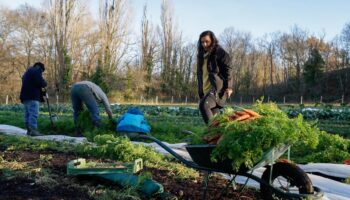 La sécurité sociale de l’Alimentation, une réponse à la crise agricole ?