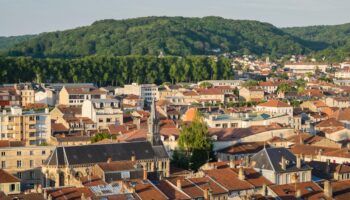 Dans la Meuse et les Vosges, les ventes ne décollent pas