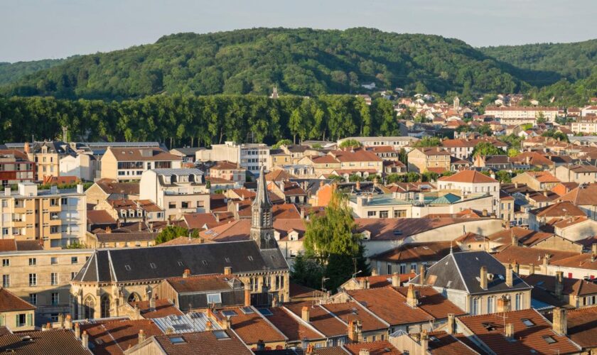 Dans la Meuse et les Vosges, les ventes ne décollent pas