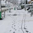 Foyers privés d’électricité, vols annulés, transports scolaires suspendus… Le point sur les perturbations à cause de la tempête Caetano