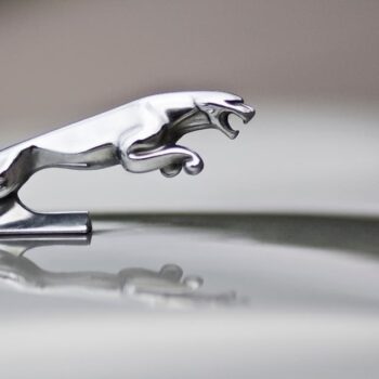 ‘Killed a British icon’: Jaguar’s modernist rebrand sparks anger and mockery online