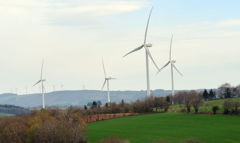 Une ferme d'éoliennes à Salles-Curan le 18 avril 2014