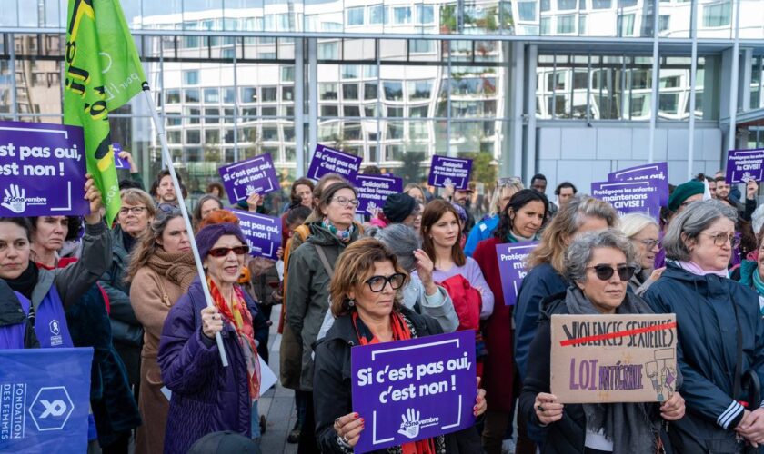 Lutter contre l’inceste, le harcèlement… Une coalition féministe présente 140 mesures contre les violences sexuelles