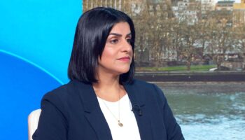 Shadow Justice Secretary Shabana Mahmood