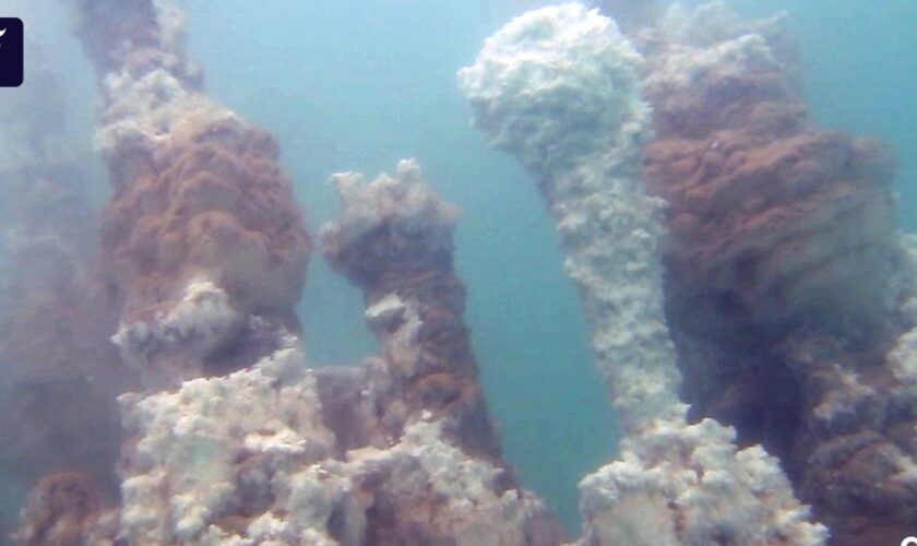 Weiße Raucher im Toten Meer