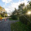 Six départements du centre-est en vigilance orange ce lundi pour vent violent