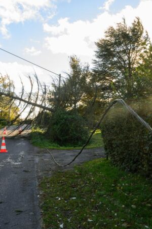 Six départements du centre-est en vigilance orange ce lundi pour vent violent