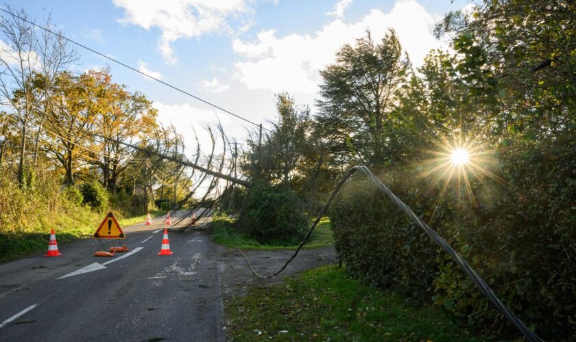 Six départements du centre-est en vigilance orange ce lundi pour vent violent