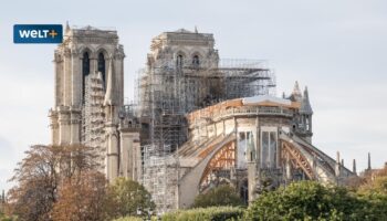 Auferstanden aus der Asche. Das Wunder von Notre-Dame