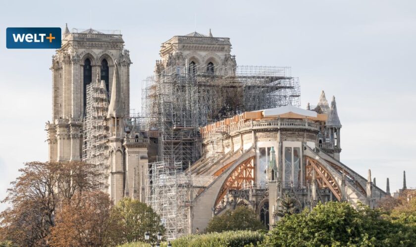 Auferstanden aus der Asche. Das Wunder von Notre-Dame