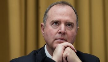 Adam Schiff says 'entire Democratic Party' bears the blame for Harris loss: 'Myself included'