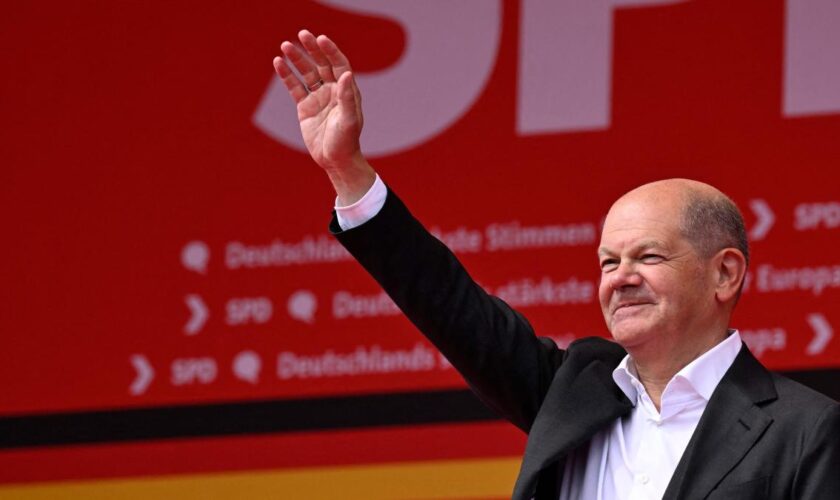 SPD will Scholz offiziell nominieren